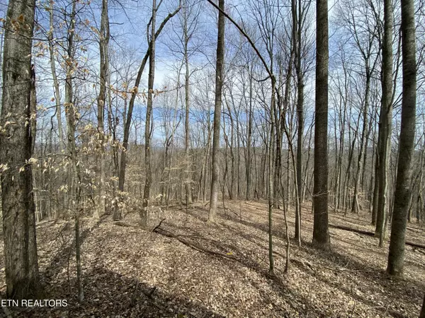 Caryville, TN 37714,2297 Shady Cove Rd