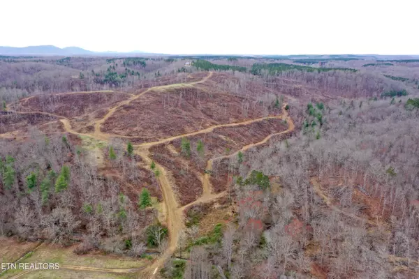 Robbins, TN 37852,Skull Creek Rd