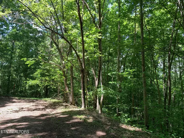 Maynardville, TN 37807,Cove Rd