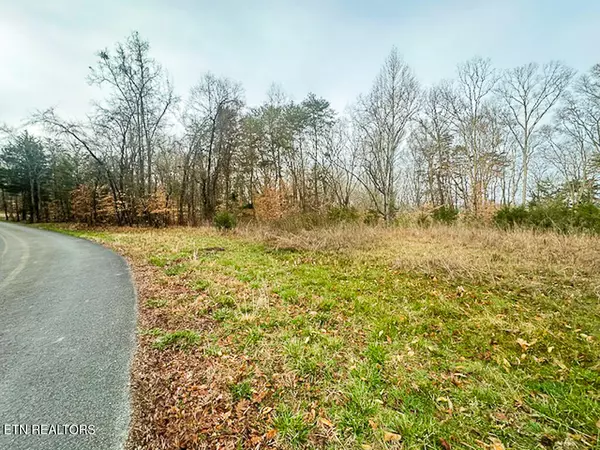 Baneberry, TN 37890,Lot 1102 Mountain View LN