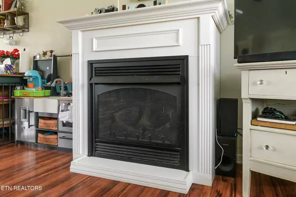 Sevierville, TN 37876,1009 Stones Throw LN