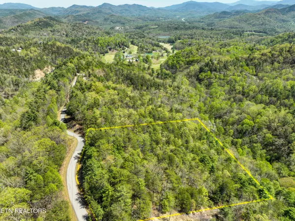 707 Bear Den Rd,  Townsend,  TN 37882