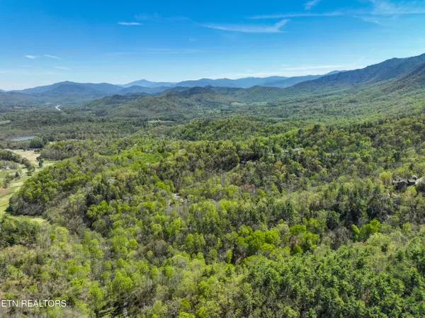 Townsend, TN 37882,707 Bear Den Rd