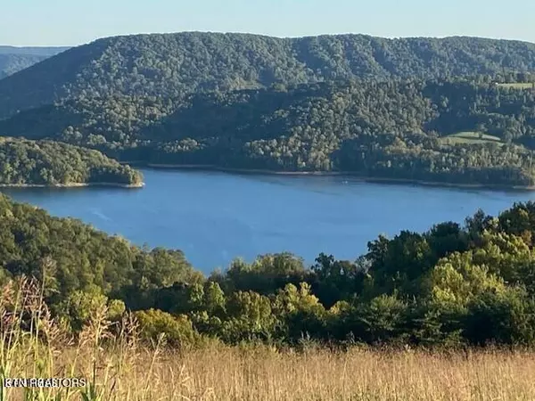 New Tazewell, TN 37825,Citron LN