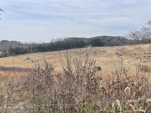 Lot 4 Highway 66, Bulls Gap, TN 37711