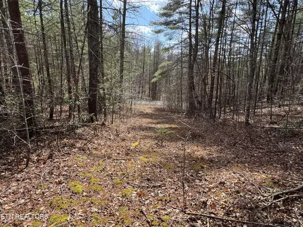 Del Rio, TN 37727,Cougar Trail 9.3