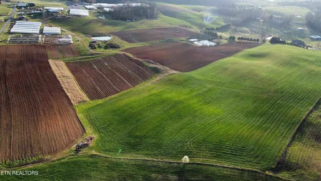 74 acres+- Perrin Hill Rd, Rutledge, TN 37861