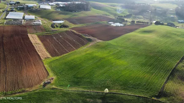 70 acres+- Perrin Hill Rd, Rutledge, TN 37861