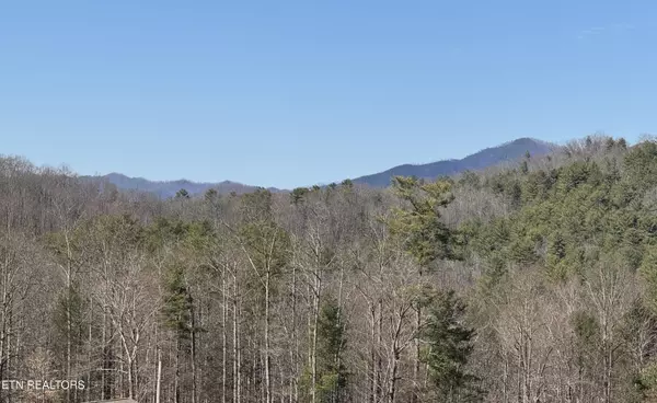 Del Rio, TN 37727,Cougar Trail 4.64