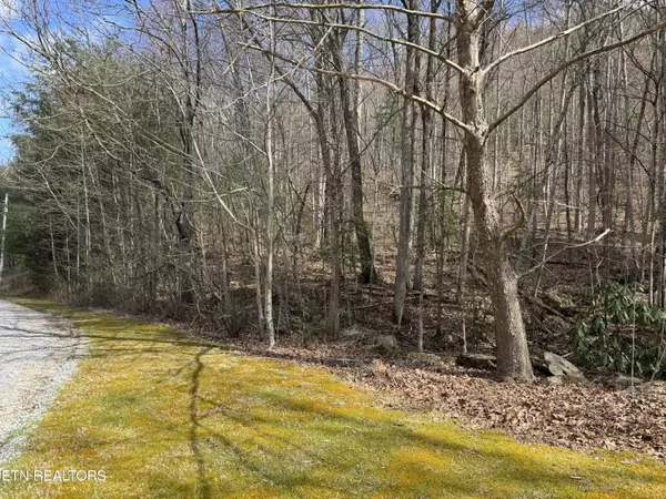 Del Rio, TN 37727,Cougar Trail 4.64