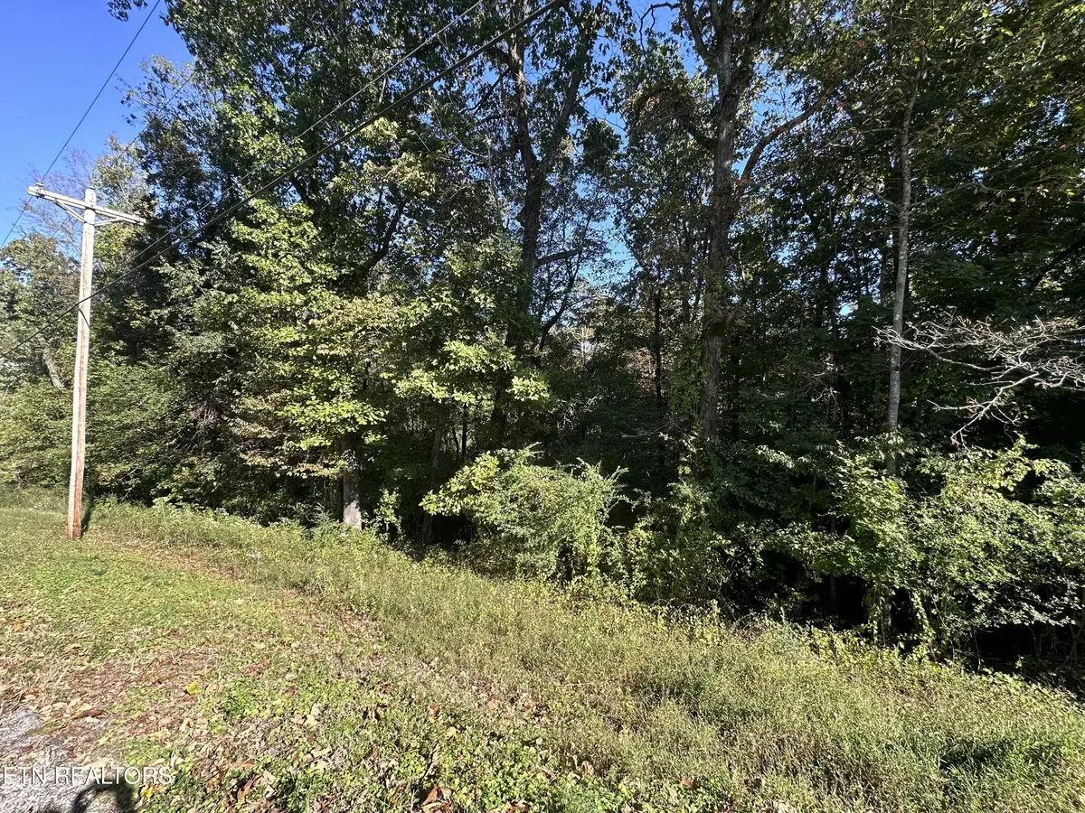 Rockwood, TN 37854,Hathburn DR