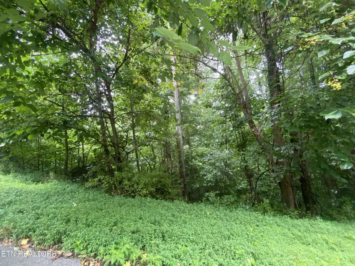 Maynardville, TN 37807,Eagle's Cove Parkway