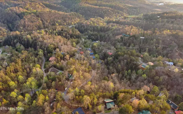 Sevierville, TN 37862,Red Bone  E/11AE WAY