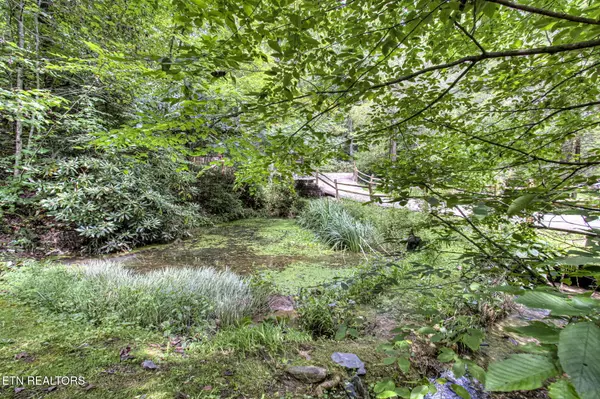 Gatlinburg, TN 37738,1669 Hidden Hills Rd