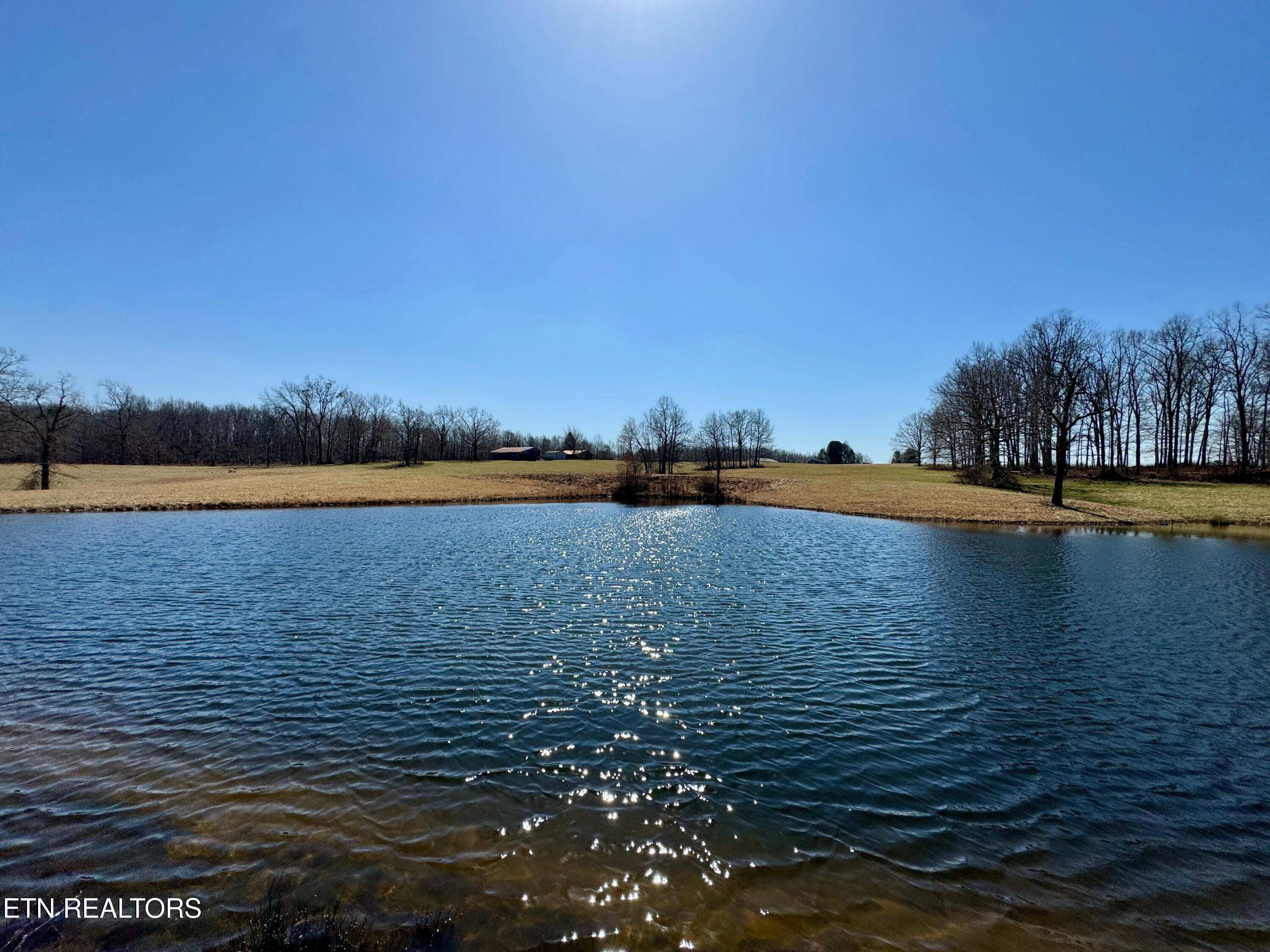 Crossville, TN 38571,384 Miller CT