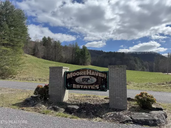 Del Rio, TN 37727,Cougar Trail 3ac