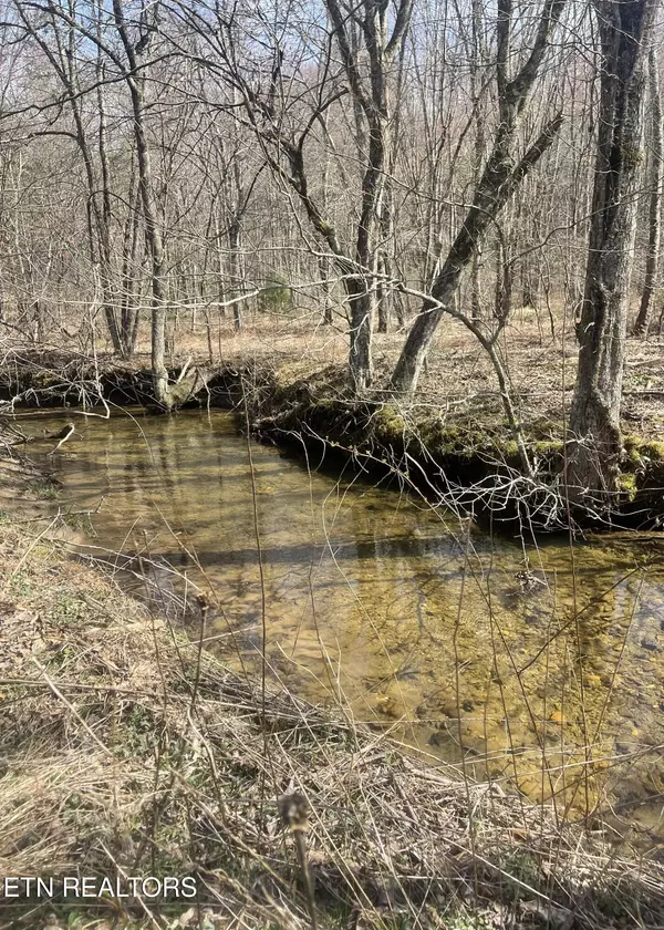 Tellico Plains, TN 37385,Tilley Rd