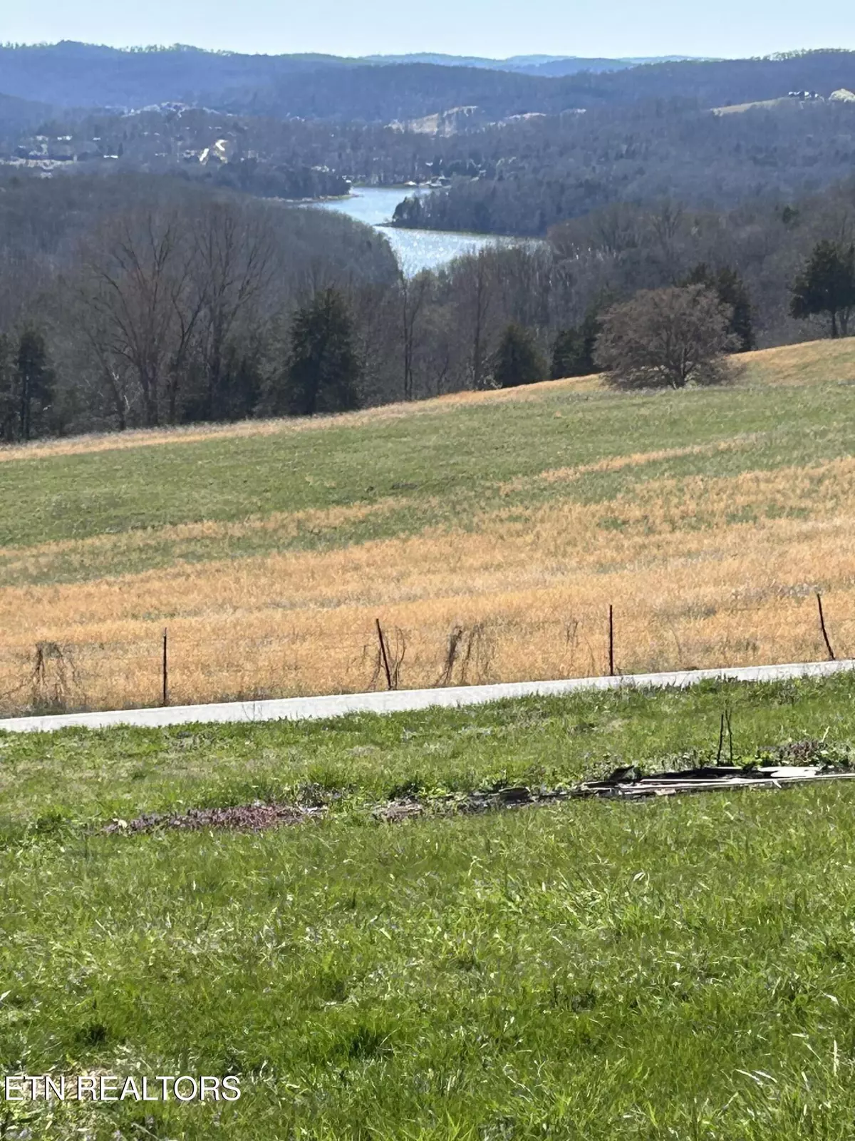 Speedwell, TN 37870,110 Flatview DR