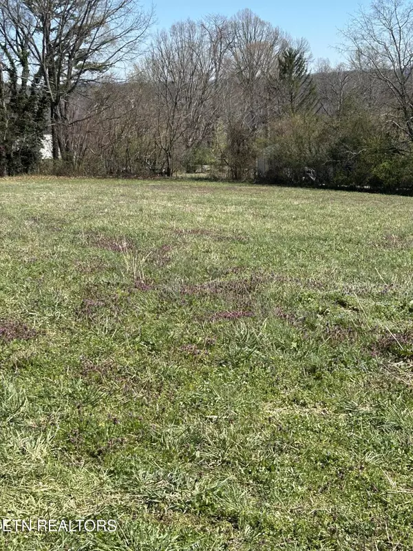 Speedwell, TN 37870,110 Flatview DR