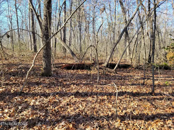 Monterey, TN 38574,11 Rhonda Rd
