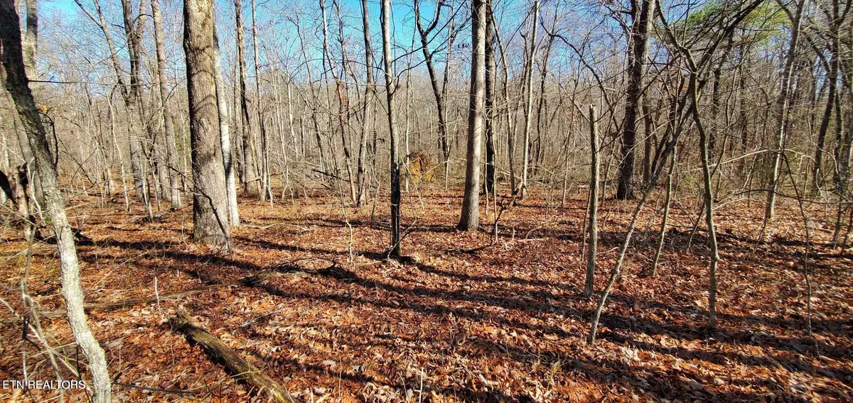 Monterey, TN 38574,11 Rhonda Rd
