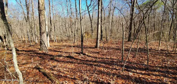 Monterey, TN 38574,11 Rhonda Rd