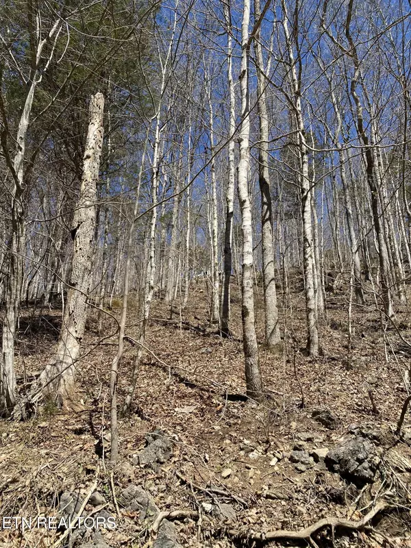 Maynardville, TN 37807,River Ridge Road Tract 2
