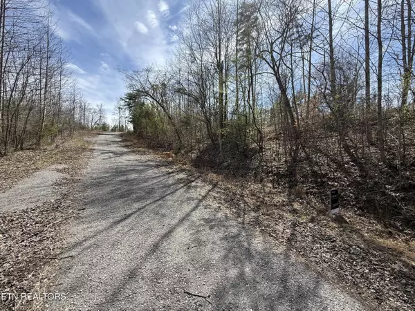 Lafollette, TN 37766,TBD Brandt PIKE
