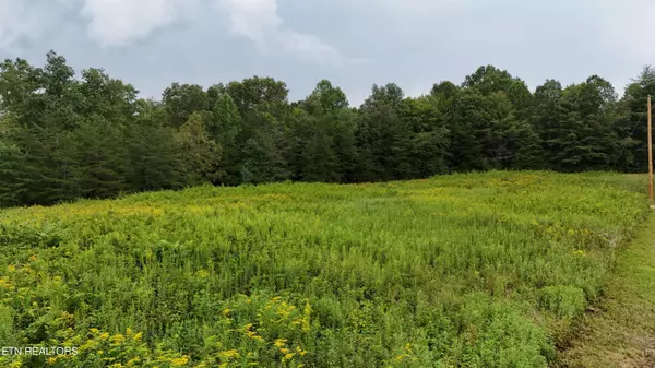 Deer Lodge, TN 37726,Tract 4 Four Mile Creek Rd