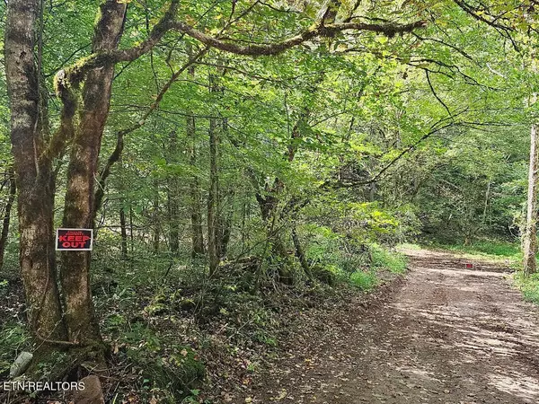 Tazewell, TN 37879,118ac Mill Hollow Rd