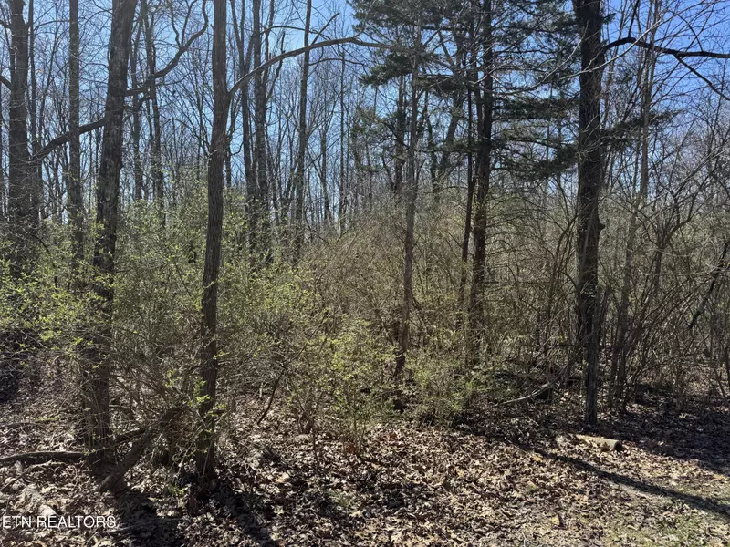 0 TENTH/KNIGHT, Crossville, TN 38555