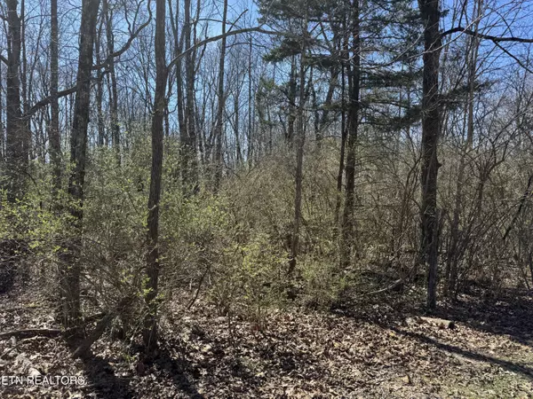 Crossville, TN 38555,0 TENTH/KNIGHT