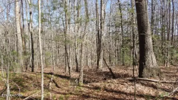 Lancing, TN 37770,391 Ridge Road