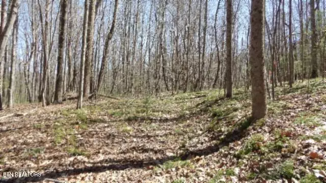 Lancing, TN 37770,391 Ridge Road