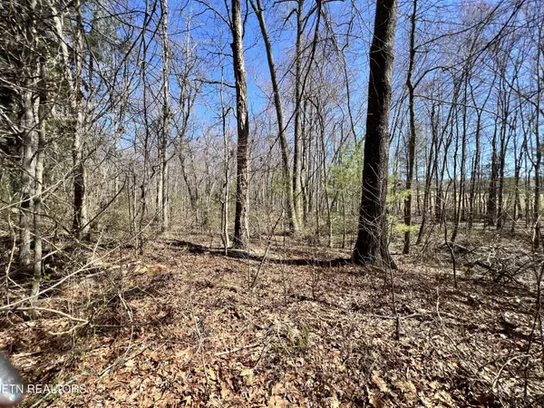 Crossville, TN 38555,Beehive LN