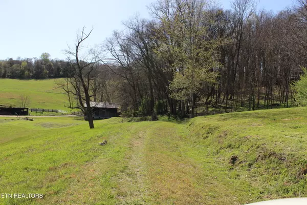 Rutledge, TN 37861,820 Calloway Rd