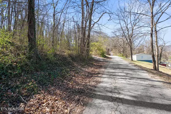 313 Chestnut St, Lafollette, TN 37766