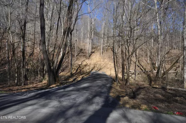 Luttrell, TN 37779,00 Old Tazewell PIKE