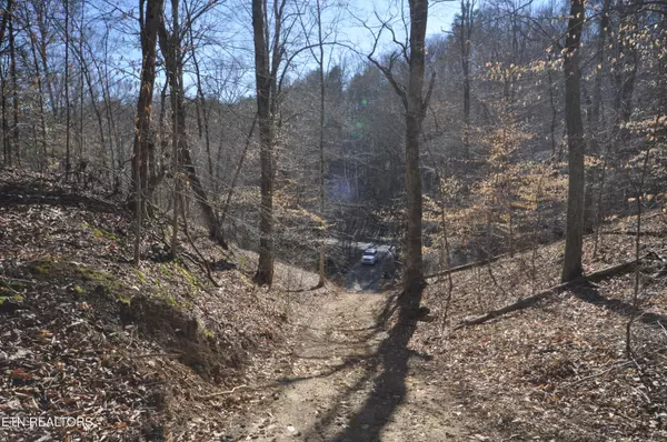 Luttrell, TN 37779,00 Old Tazewell PIKE