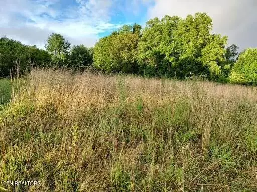 Sneedville, TN 37869,TBD Luther Villa Rd