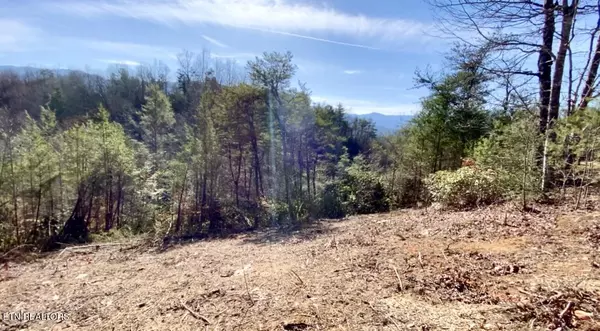 Gatlinburg, TN 37738,Lot 34 Pinnacle Vista RD