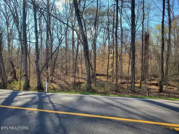 Lot 14 Highway 304, Decatur, TN 37322