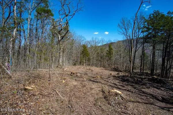 Luttrell, TN 37779,Wolfenbarger Tract 1