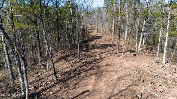 Luttrell, TN 37779,Wolfenbarger Tract 1