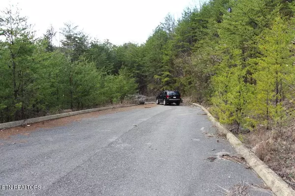 Sevierville, TN 37876,Mountain Folks WAY