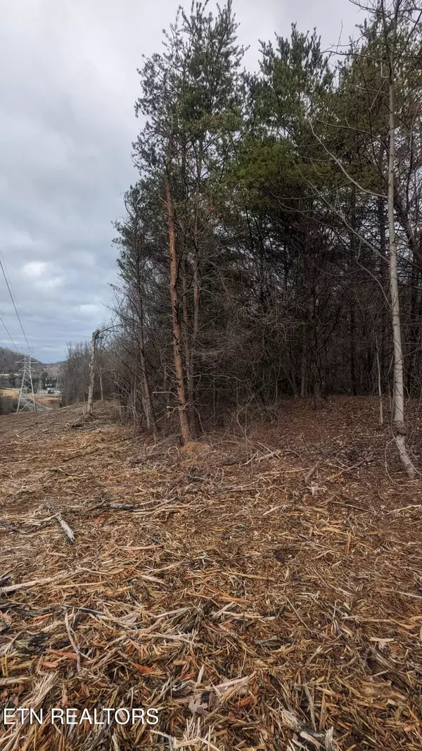 Knoxville, TN 37918,0 Rifle Range DR