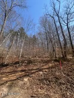 Maynardville, TN 37807,0 Swan Seymour Rd