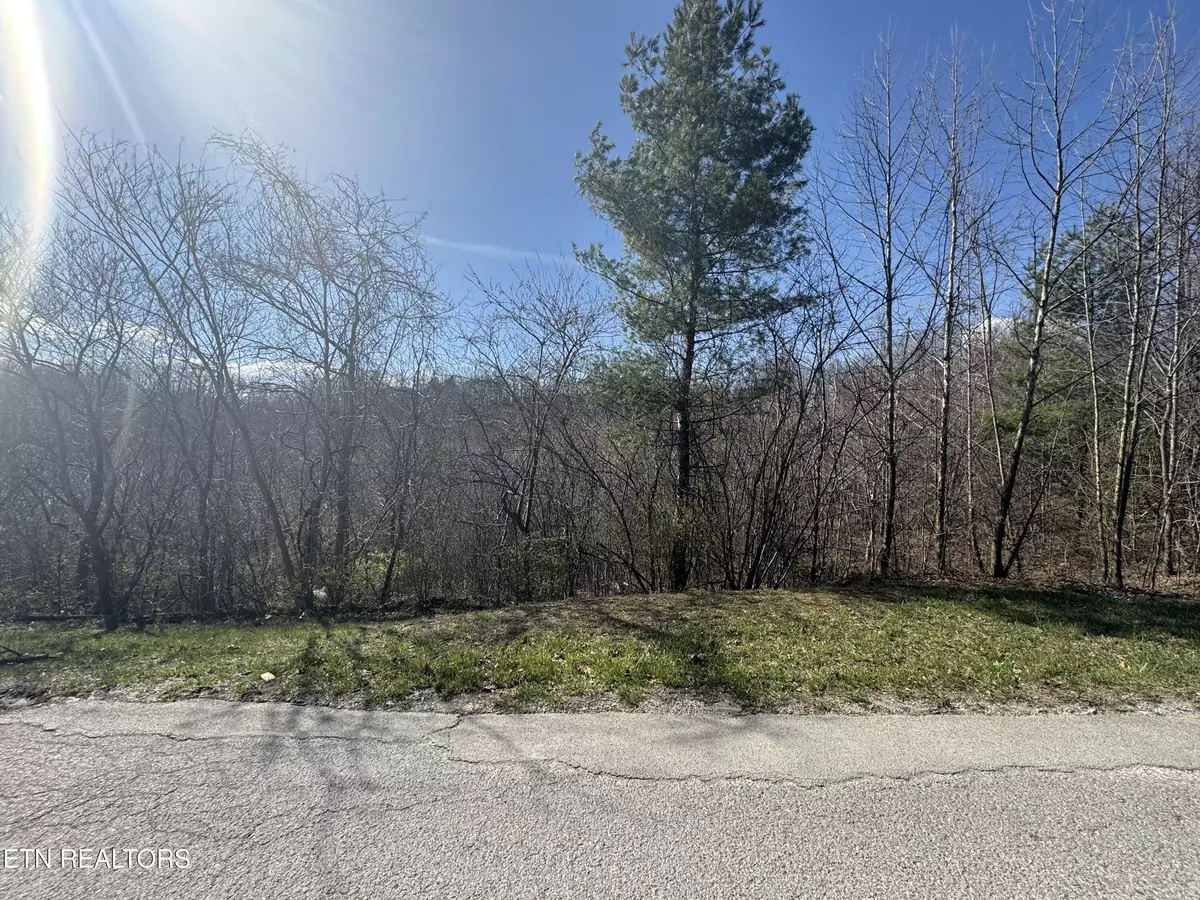 Oneida, TN 37841,Grape Rough Rd