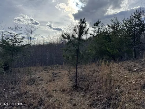 Oneida, TN 37841,Grape Rough Rd