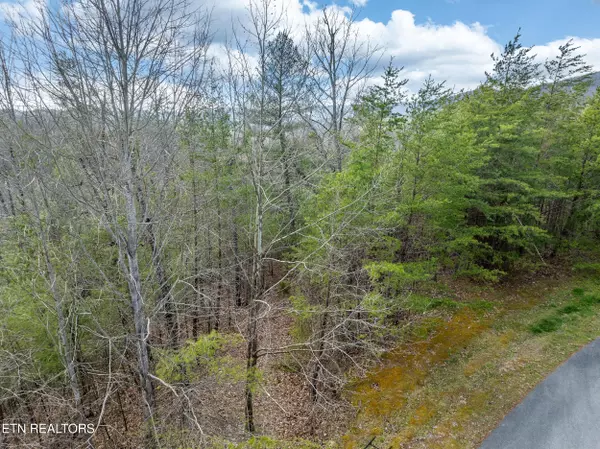 Walland, TN 37886,227 Black Powder CT